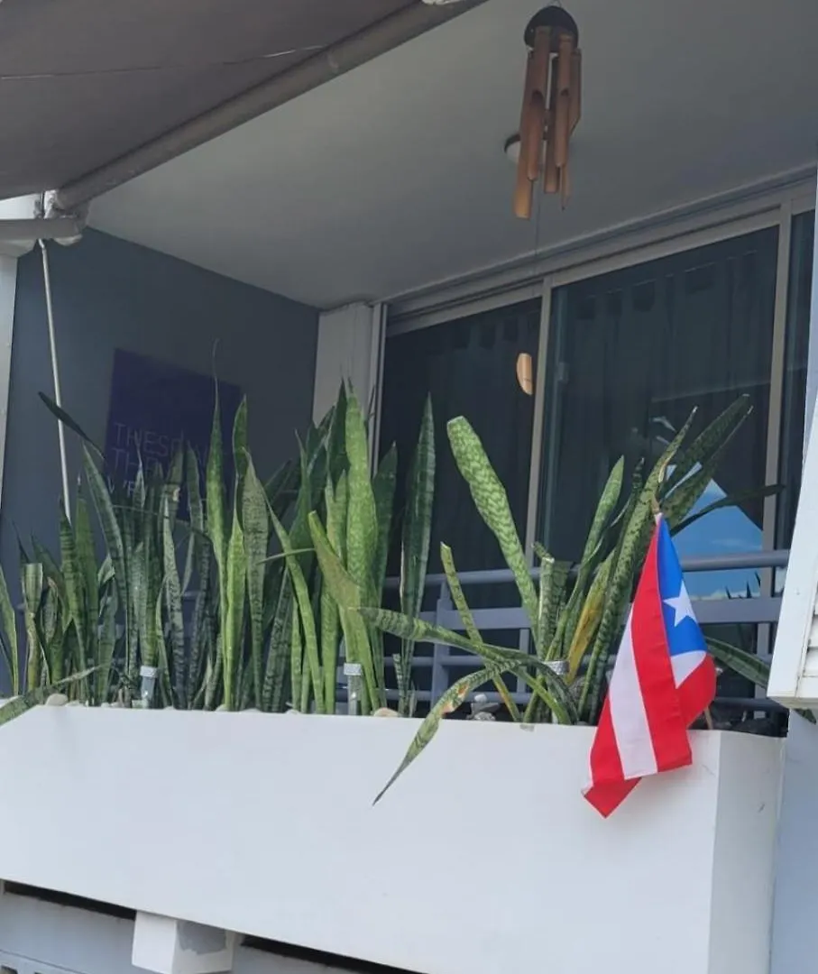 Appartement 6 Min Away Bad Bunny'S Venue,Full Gen Nxt Condado à San Juan 0*,